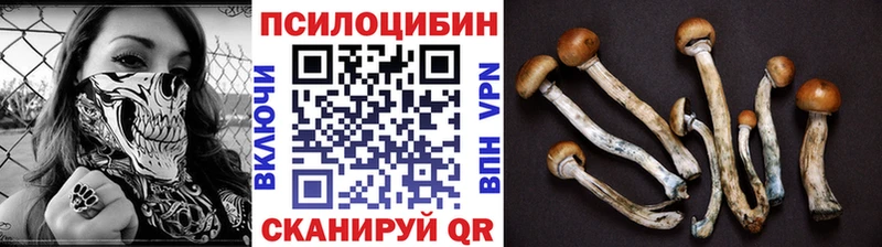 сколько стоит  Энем  KRAKEN ссылка  Псилоцибиновые грибы мицелий 